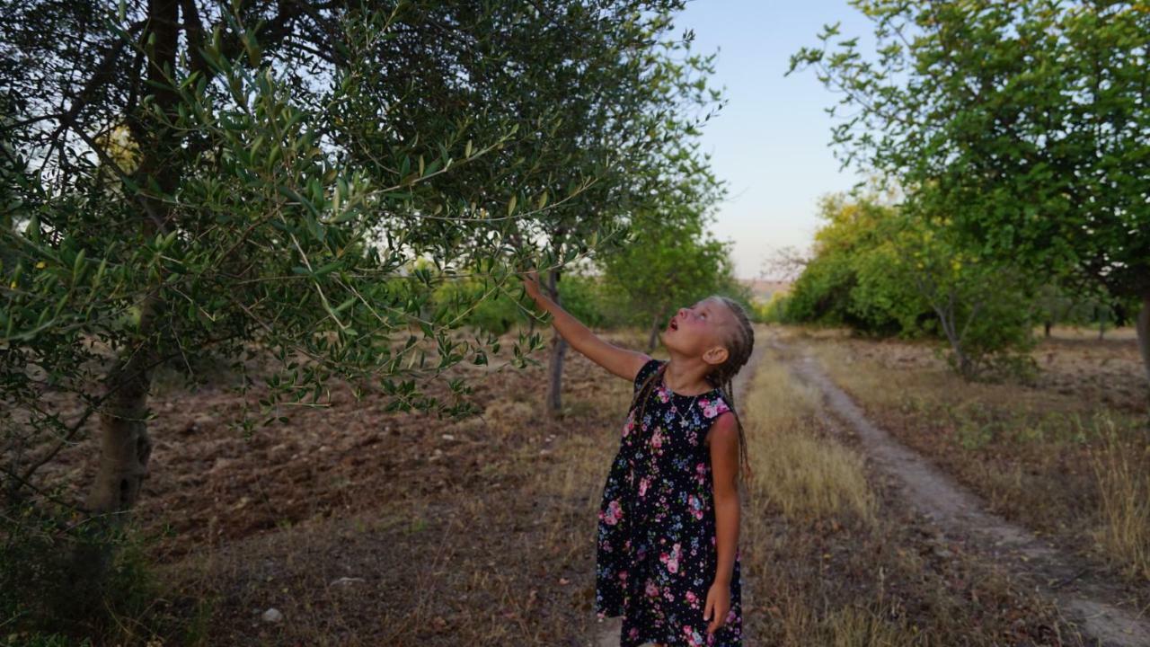 Agriturismo Gaia Villa Noto Luaran gambar