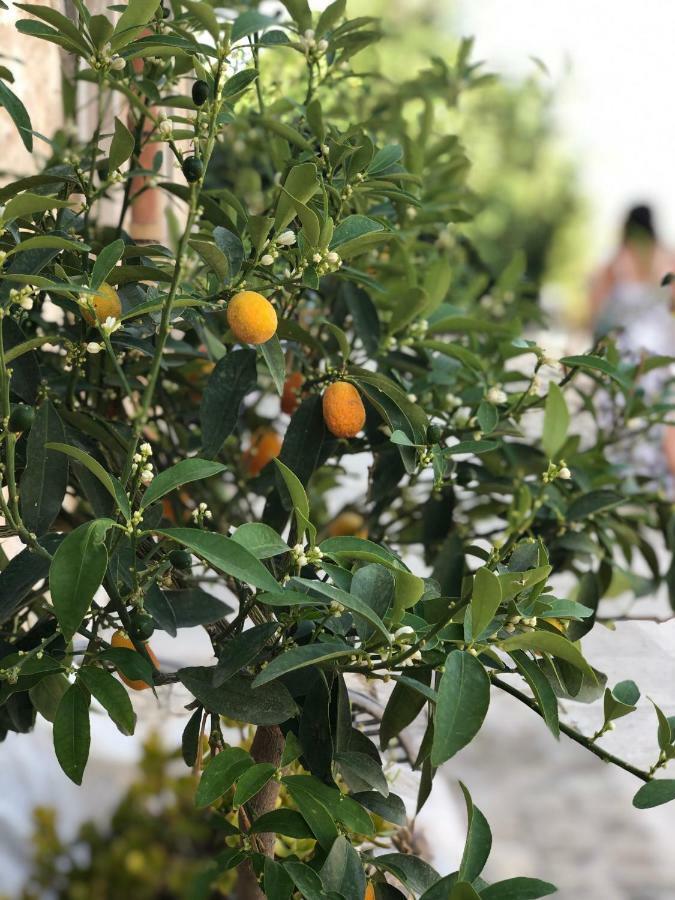 Agriturismo Gaia Villa Noto Luaran gambar
