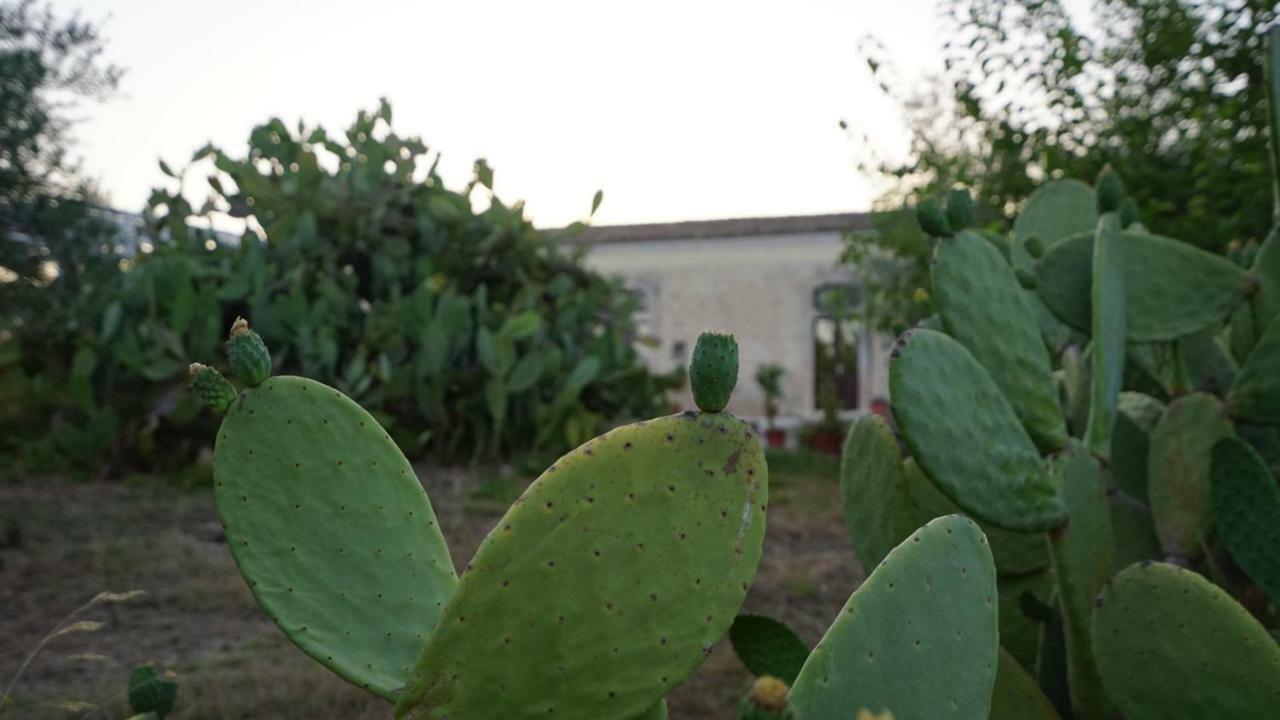 Agriturismo Gaia Villa Noto Luaran gambar